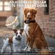 Нашийник для тренування собак Dog care TC 05