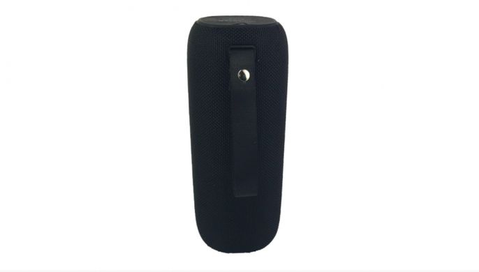 Портативна Bluetooth - колонка Hopestar P15 Pro Black фото