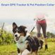 GPS трекер для домашніх тварин собак та котів G12